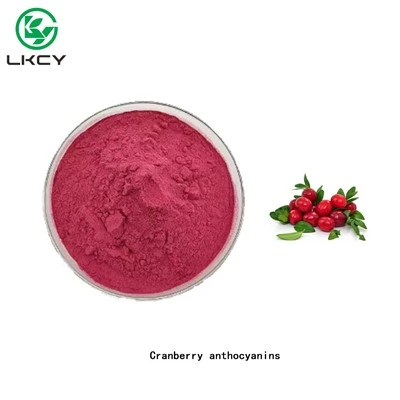 Polvere di antociani del mirtillo rosso