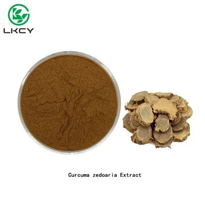 Estratto di Curcuma Zedoaria